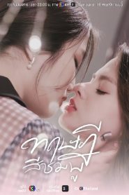 GAP the Series