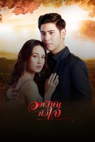 Lối Rẽ Con Tim
