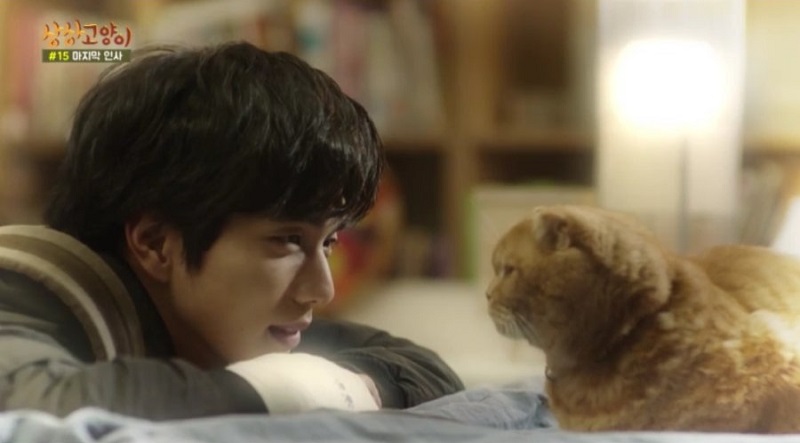 Nàng Mèo Đỏng Đảnh - Imaginary Cat (2015)